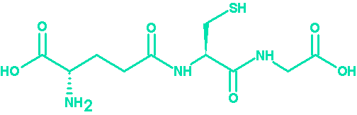 古特生物