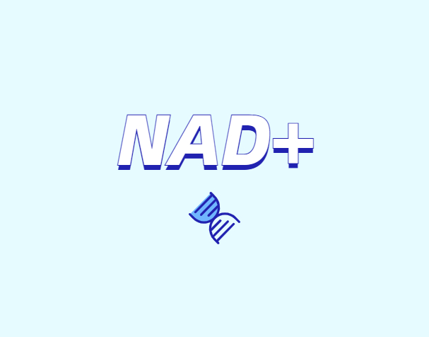 NAD與NMN的全新概念？