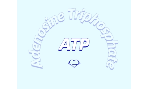 ATP補充劑對運動有什么益處？